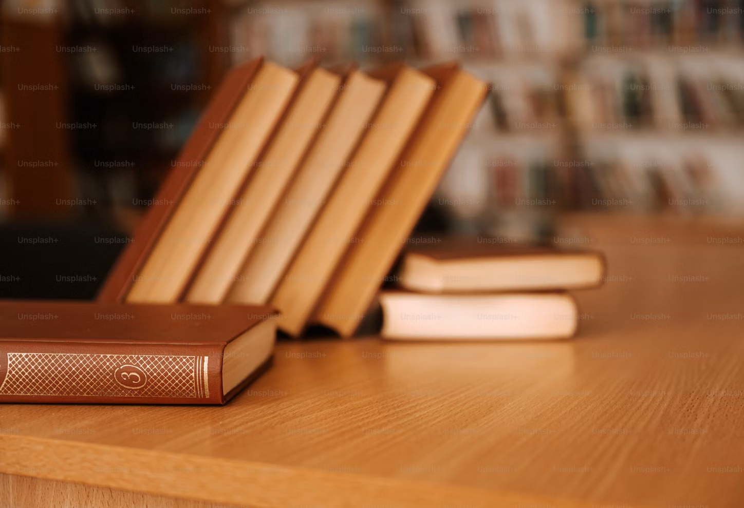 7 st bruna läderbundna böcker som ligger på ett träbord lutande emot varandra